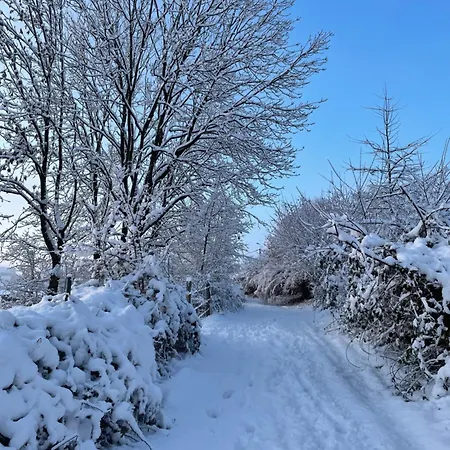 La Vieille Ferme Et Son Jacuzzi *